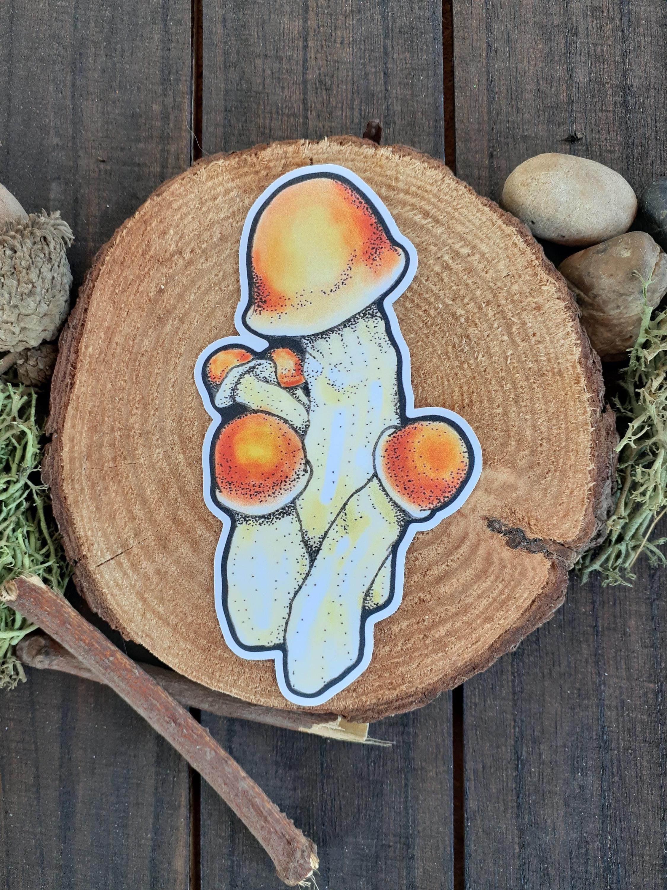 Crass – Penis Envy 日本盤 レア 美品 LP 帯なし特価 Penis Envy Mushroom Sticker - Etsy