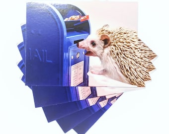 Hedgehog and Mailbox Postcard, set of 5, Codex loves mail postcards