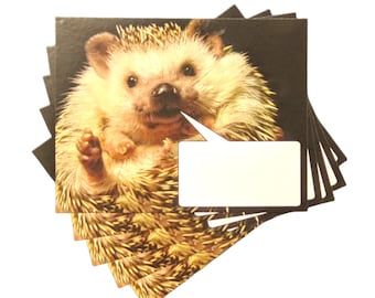 Word Bubble Hedgehog Postcard, set of 5, O QLY, HERMIONE