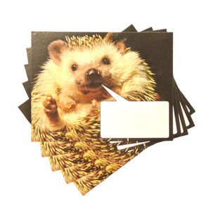 Word Bubble Hedgehog Postcard, set of 5, O QLY, HERMIONE