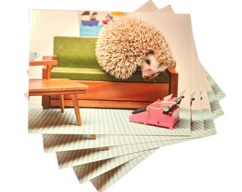 MCM Hedgehog Postcard, set of 5, Mid-Century Mirah postcards