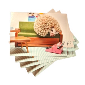 MCM Hedgehog Postcard, set of 5, Mid-Century Mirah postcards image 1