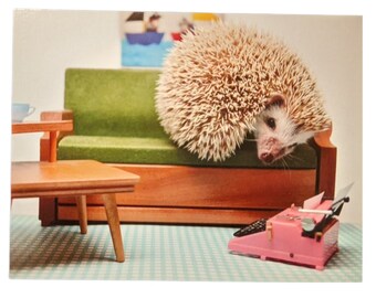 MCM Hedgehog Postcard, set of 2, Mid-Century Mirah postcards