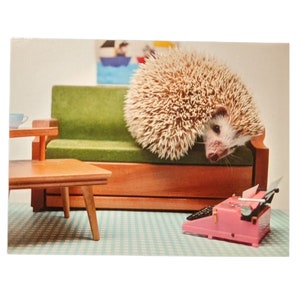 MCM Hedgehog Postcard, set of 2, Mid-Century Mirah postcards image 1