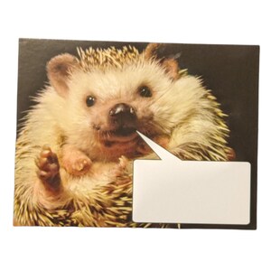 Word Bubble Hedgehog Postcard, set of 2, O QLY, HERMIONE