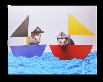 Cute Pirate and Sailor Hedgehogs Postcard, set of 2, Alasdair & Magoo sail the twee