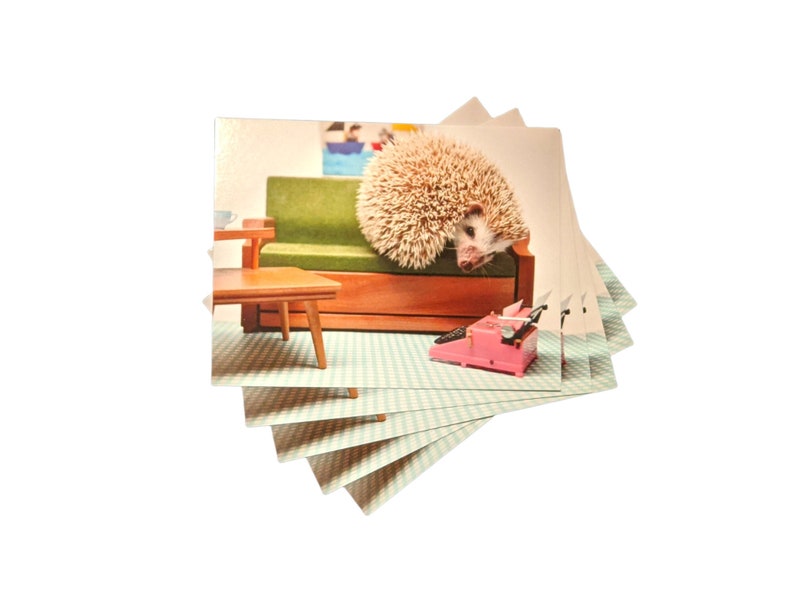 MCM Hedgehog Postcard, set of 5, Mid-Century Mirah postcards image 1