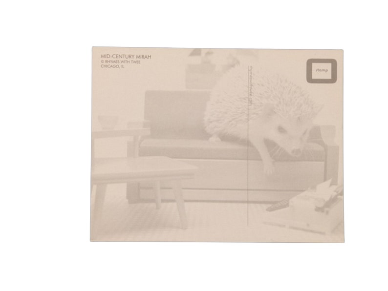 MCM Hedgehog Postcard, set of 2, Mid-Century Mirah postcards image 2