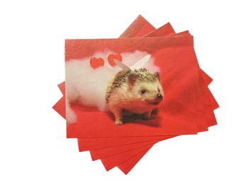 Love Valentine Hedgehog Postcard, set of 5, Hermione Hearts You