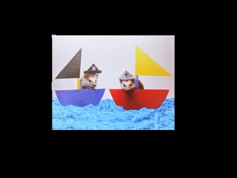 Cute Pirate and Sailor Hedgehogs Postcard, set of 2, Alasdair & Magoo sail the twee image 1