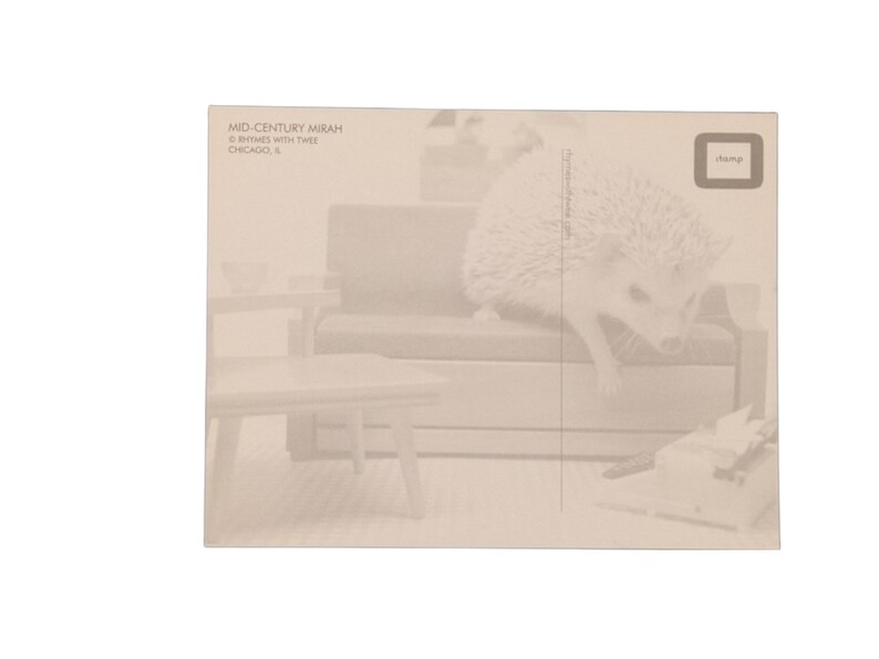 MCM Hedgehog Postcard, set of 5, Mid-Century Mirah postcards image 2