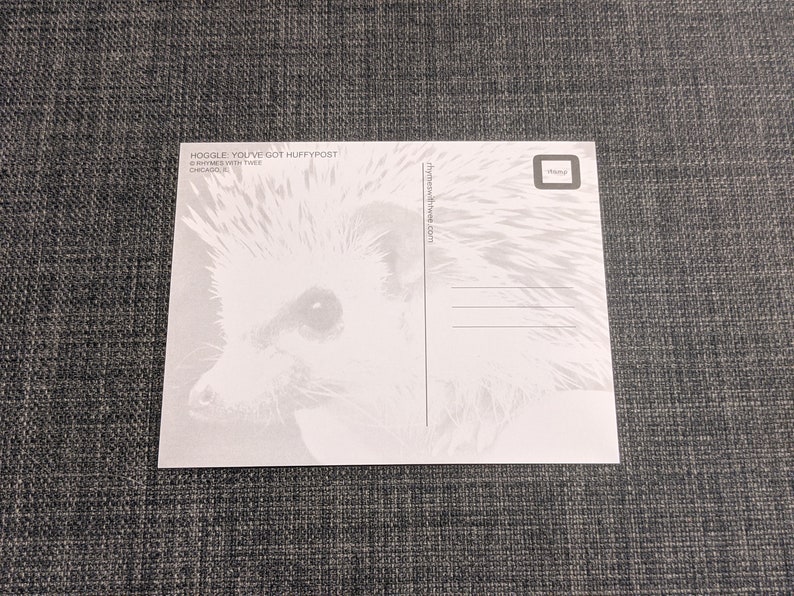 Handsome Hedgehog Postcard, set of 2, Hoggle: You've Got Huffypost image 2