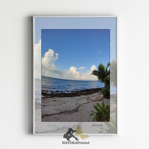 Caribbean Printable, Palm Tree Printable, Sky Printable, Ocean ...
