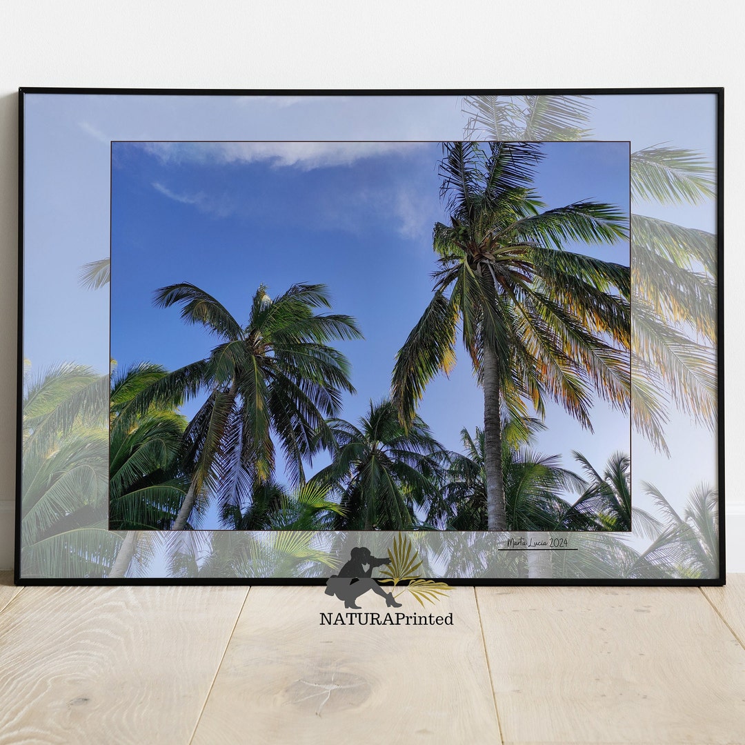 Caribbean Printable, Palm Tree Printable, Sky Printable, Ocean ...