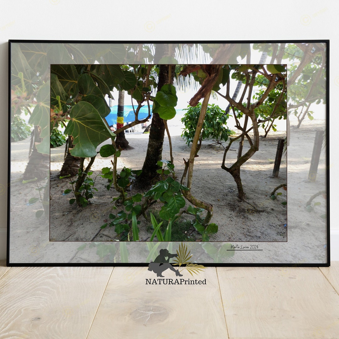 Caribbean Printable, Palm Tree Printable, Sky Printable, Ocean ...