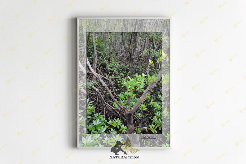 Caribbean Printable, Palm Tree Printable, Sky Printable, Ocean ...