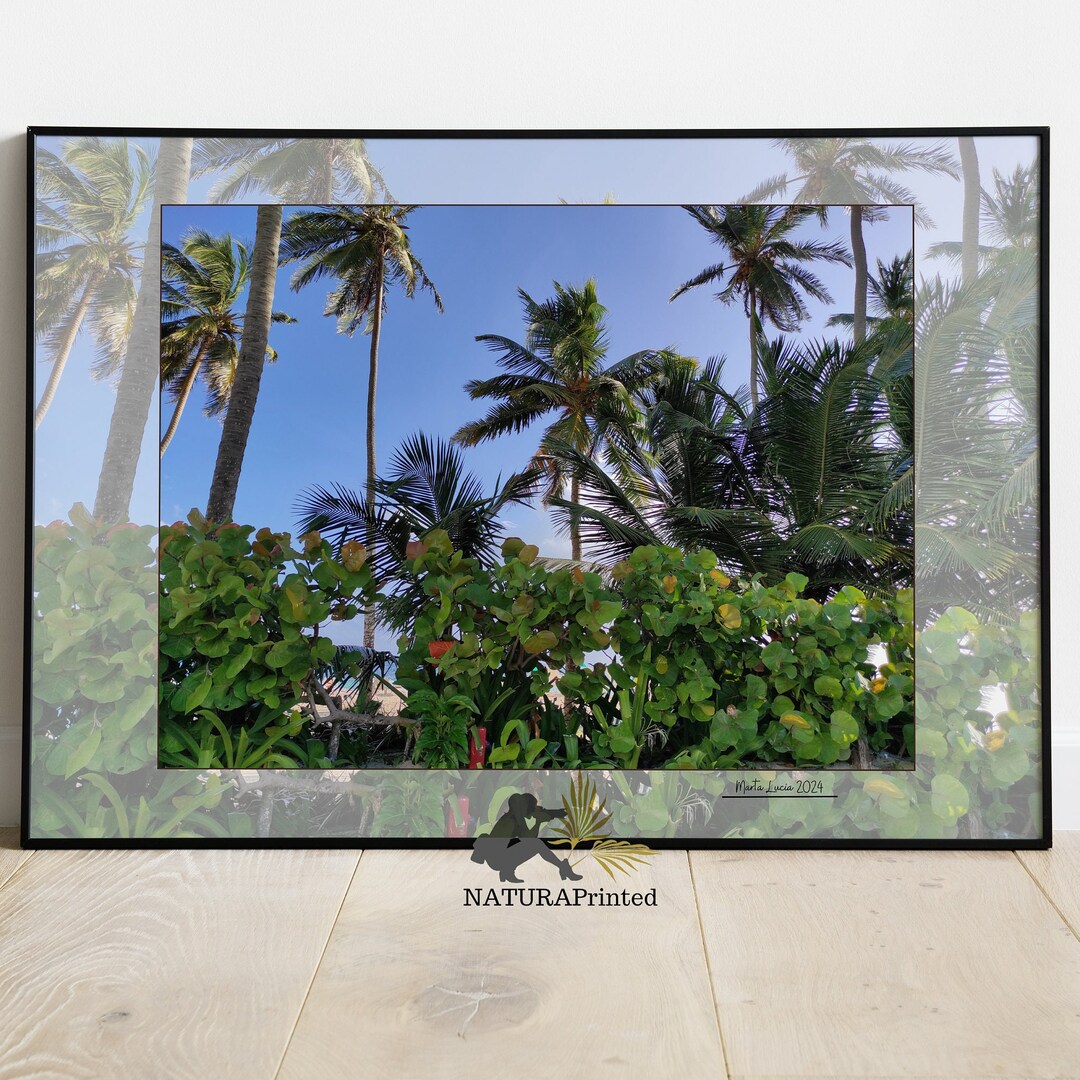 Caribbean Printable, Palm Tree Printable, Sky Printable, Ocean ...