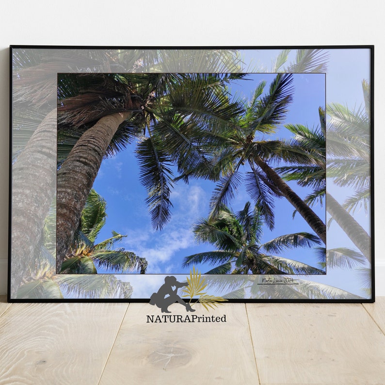 Caribbean Printable, Palm Tree Printable, Sky Printable, Ocean Printable, Printable Pictures ...