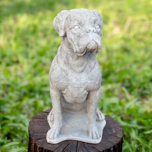 Sitting boxer dog | Concrete dog statue 20&quot; | Boxer dog breed | Pet memorial gift | Dog art | Garden Decorations | Outdoor Sculpture