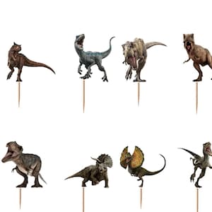 Pu&ograve; includere: Un set di dodici decorazioni per cupcake raffiguranti varie figure di dinosauri e due loghi circolari di Jurassic Park. Ogni figura &egrave; fissata su uno stuzzicadenti in legno, mostrando le texture e i colori dettagliati delle creature.