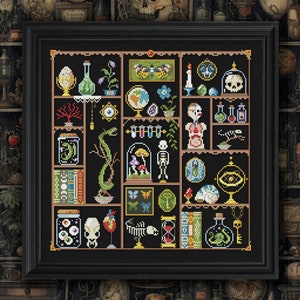 May include: A framed cross-stitch artwork featuring a collection of apothecary and scientific elements. The design includes jars with eyeballs and snakes, a human skeleton, a globe, and various bottles and plants. The color palette is dark with accents of green, red, and gold.