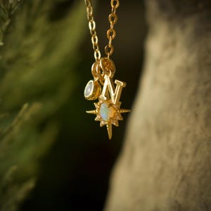 May include: Gold necklace with a compass charm, a small opal charm, and a letter 'N' charm. The compass charm has a small opal in the center.