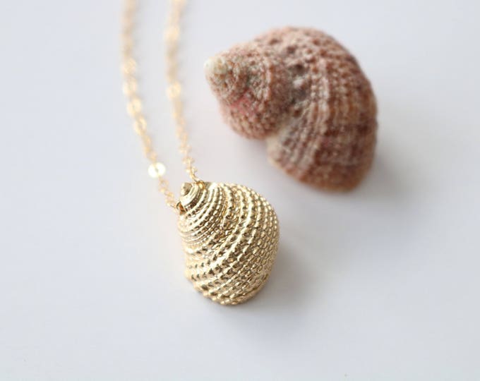 Seashell necklace, gold sea shell necklace, intricate shell pendant, beach jewelry, sea shell jewelry, gift for her, beach necklace women