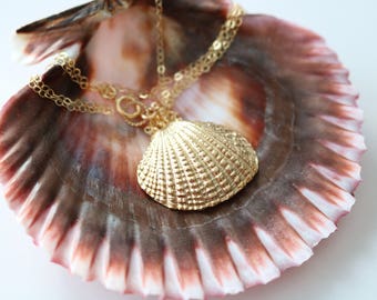 Seashell necklace, gold sea shell necklace, seashell jewelry, beach jewelry, seashell jewellery, gift for her, beach necklace, beach wedding