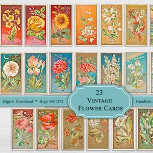 May include: A collection of 23 vintage flower cards, each featuring a different botanical illustration. The cards have a rectangular shape with a decorative border and are labeled with the flower's name. The text "Vintage Flower Cards" is visible.