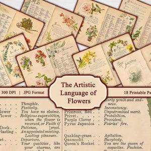 Op de afbeelding: Een verzameling pagina's in vintage-stijl met botanische illustraties en tekst uit "The Artistic Language of Flowers". De pagina's tonen verschillende bloemarrangementen en definities, met een centrale banner "The Artistic Language of Flowers".
