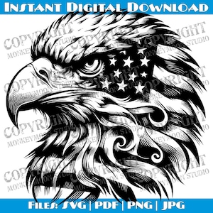 May include: Black and white illustration of a bald eagle's head with an American flag design. The eagle's eye is visible and the flag is partially covering the eagle's head.