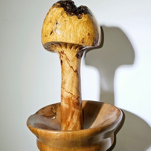 handgeschnitzte Schale aus Ahorn Maserholz und Pilz