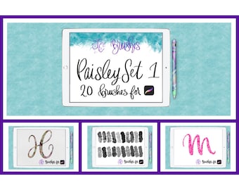 FC-paisley-set1 Brushes-PROCREATE Brushes-DIGITAL Download