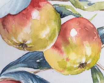 Apple Watercolour, Italian Handmade