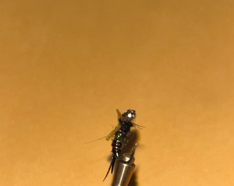 Stonefly nymph