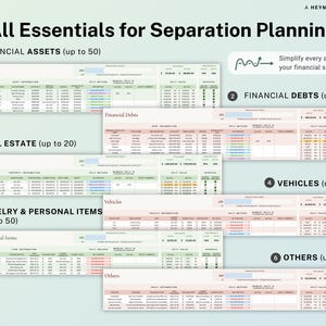 Divorce Planner Spreadsheet Asset Division Google Sheets Divorce Financial Settlement Property & Debt Split Separation Agreement Transition image 5
