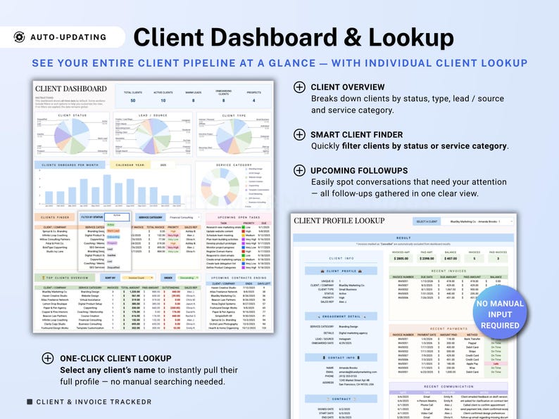 Op de afbeelding: Digitaal klantdashboard met grafieken en gegevenstabellen. Het dashboard toont de klantstatus, het klanttype en de servicecategorie-informatie. Tekst bevat "Client Dashboard & Lookup" en "No Manual Input Required".