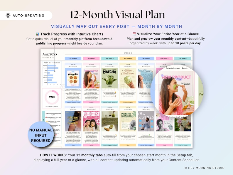 Yearly Social Media Content Calendar Google Sheets Excel Monthly Content Planner for Instagram TikTok Social Media Schedule Spreadsheet image 5