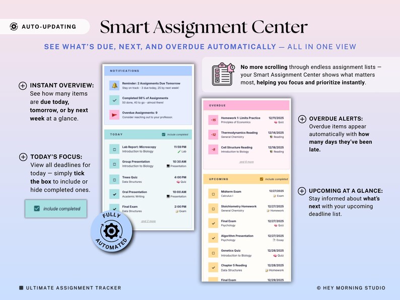 Assignment Tracker Google Sheets Excel Student Planner Spreadsheet School Assignment Homework Organizer Academic Calendar Study Tracker image 4