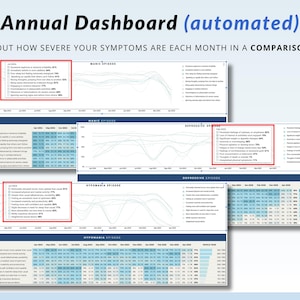 Bipolar Tracker Google Sheets Bipolar Symptom Tracker Spreadsheet Daily Mood Tracker Annual Bipolar Dashboard Bipolar Disorder Template image 7