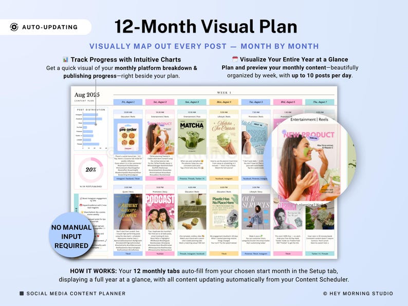 Op de afbeelding: Een 12-maanden visueel plan grafiek met een lichtblauwe achtergrond. Het plan bevat grafieken, een voortgangstracker en een maandelijkse contentkalender. Tekst bevat "Auto-Updating" en "No Manual Input Required."