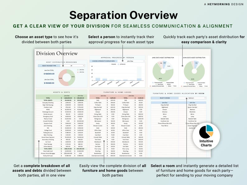 Divorce Planner Spreadsheet Asset Division Google Sheets Divorce Financial Settlement Property & Debt Split Separation Agreement Transition image 3