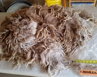 SMORES 1 lb 2 yr  fawn prime raw suri alpaca fiber