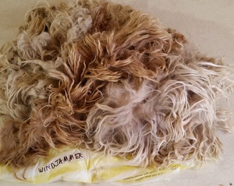 WINDJAMMER  3.5 oz medium fawn raw suri alpaca fiber