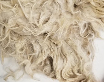 FROG  6 oz White/beige neck raw suri alpaca fiber