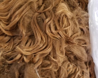 2 lb 1 yr MEMPHIS medium fawn raw suri alpaca fiber