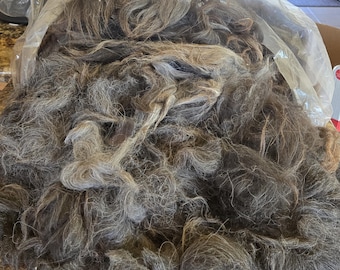 SILVER raw llama fiber
