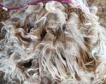 2 lb 1 yr SMORES medium fawn raw suri alpaca fiber