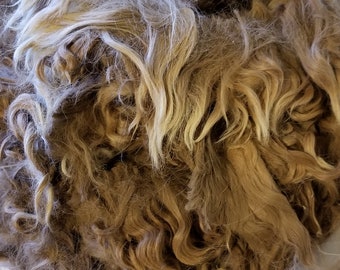 2 lb 1 yr JOHN medium fawn raw suri alpaca fiber