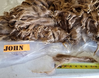 JOHN 1 lb  2 yr prime medium fawn  raw suri alpaca fiber